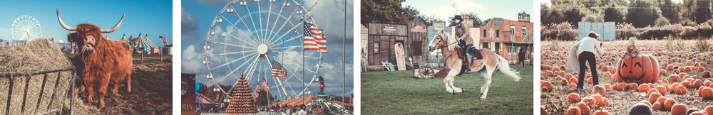 Halloween Farm Images